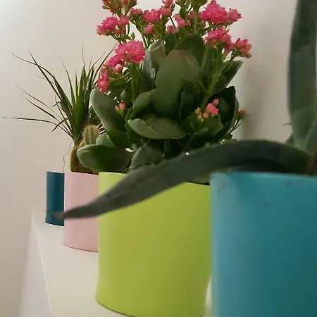 Apartmán Casa Di Arianna *